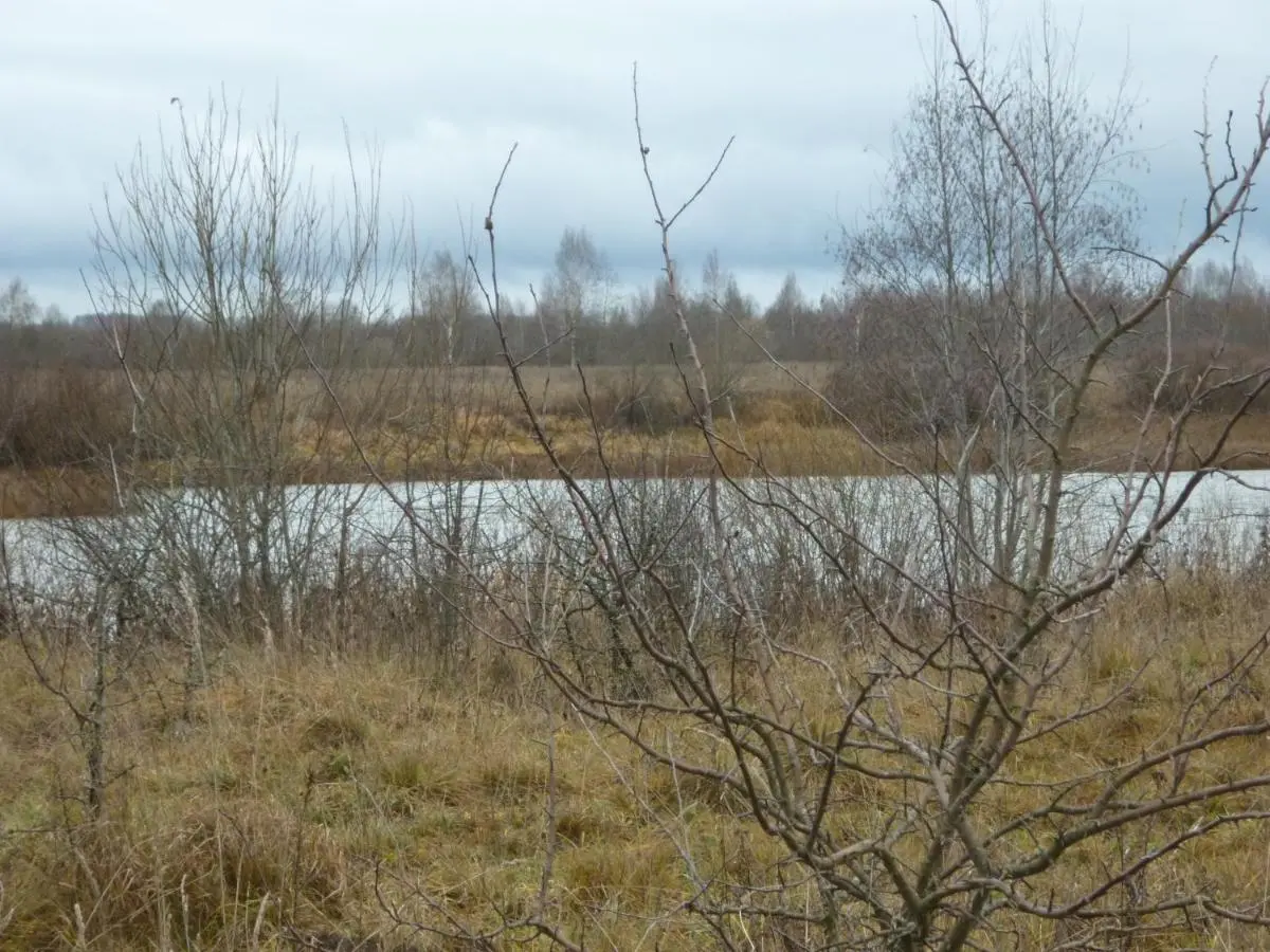 Остров: Загородный дом Рублёво
