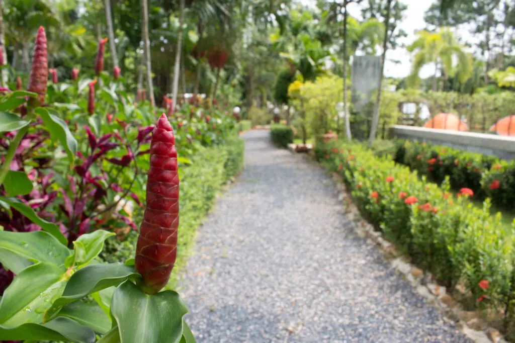 Краби: Aonang Bunk Resort