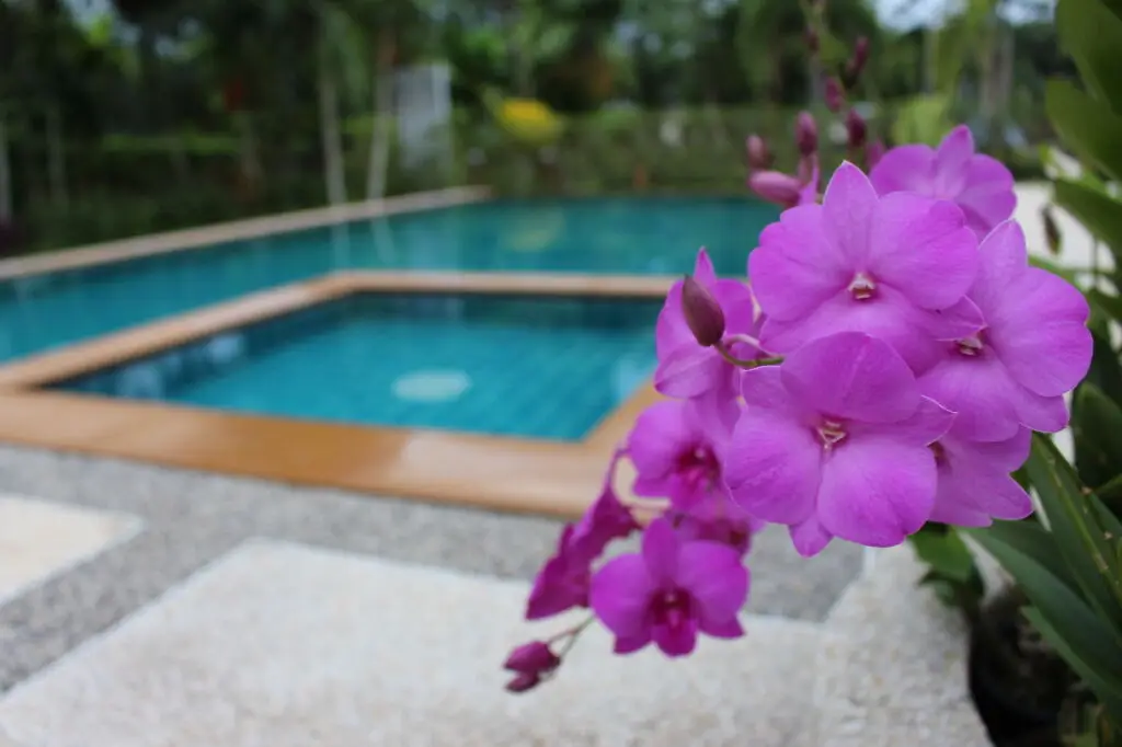Краби: Aonang Bunk Resort