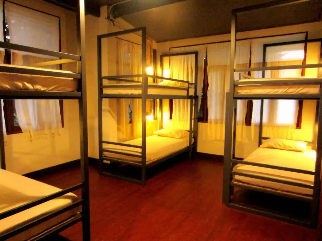 Чиангмай: Chiang Mai D Hostel