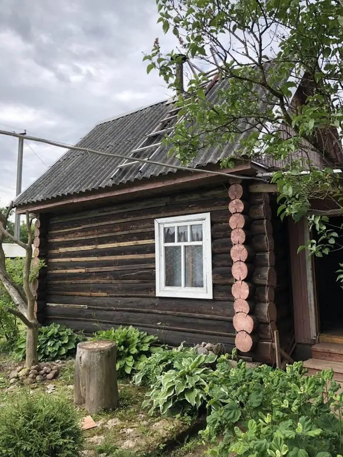 Псков: Домик на природе