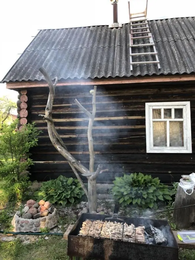 Псков: Домик на природе