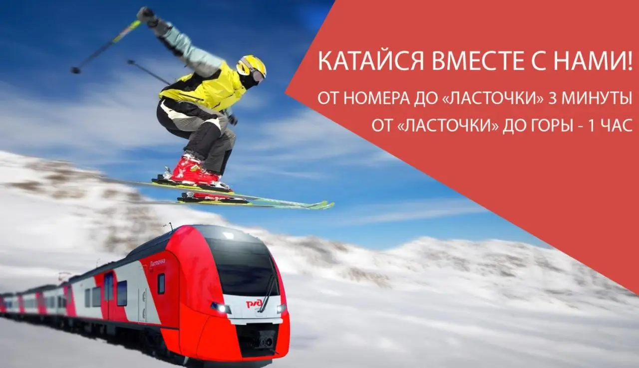 Сочи: Хостел Терминал