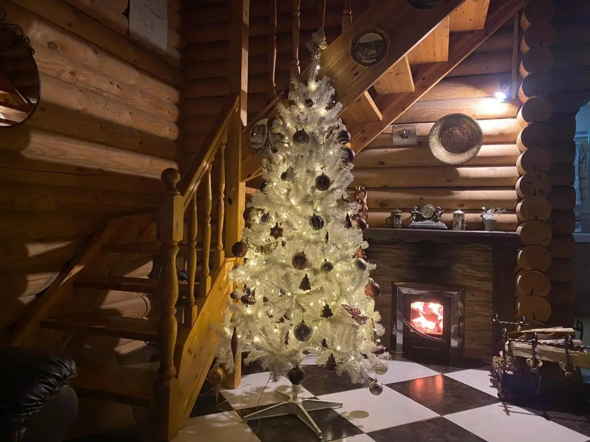 Псков: Uyut House