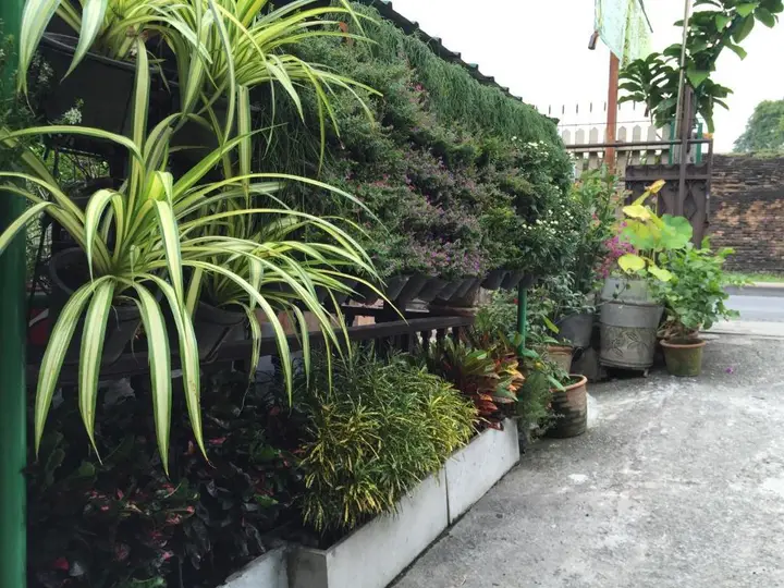 Чиангмай: Siriwan Guesthouse