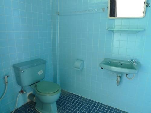 Чаам: Blue House