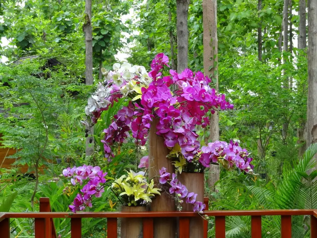 Нан: Nan Seasons Boutique Resort