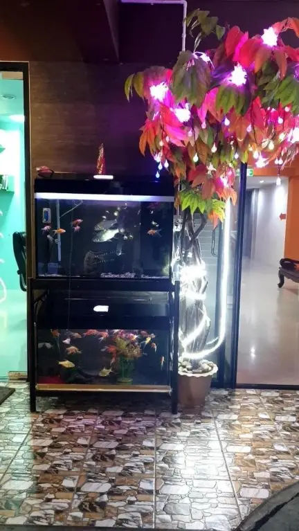 Супханбури: Lert Sri Hotel