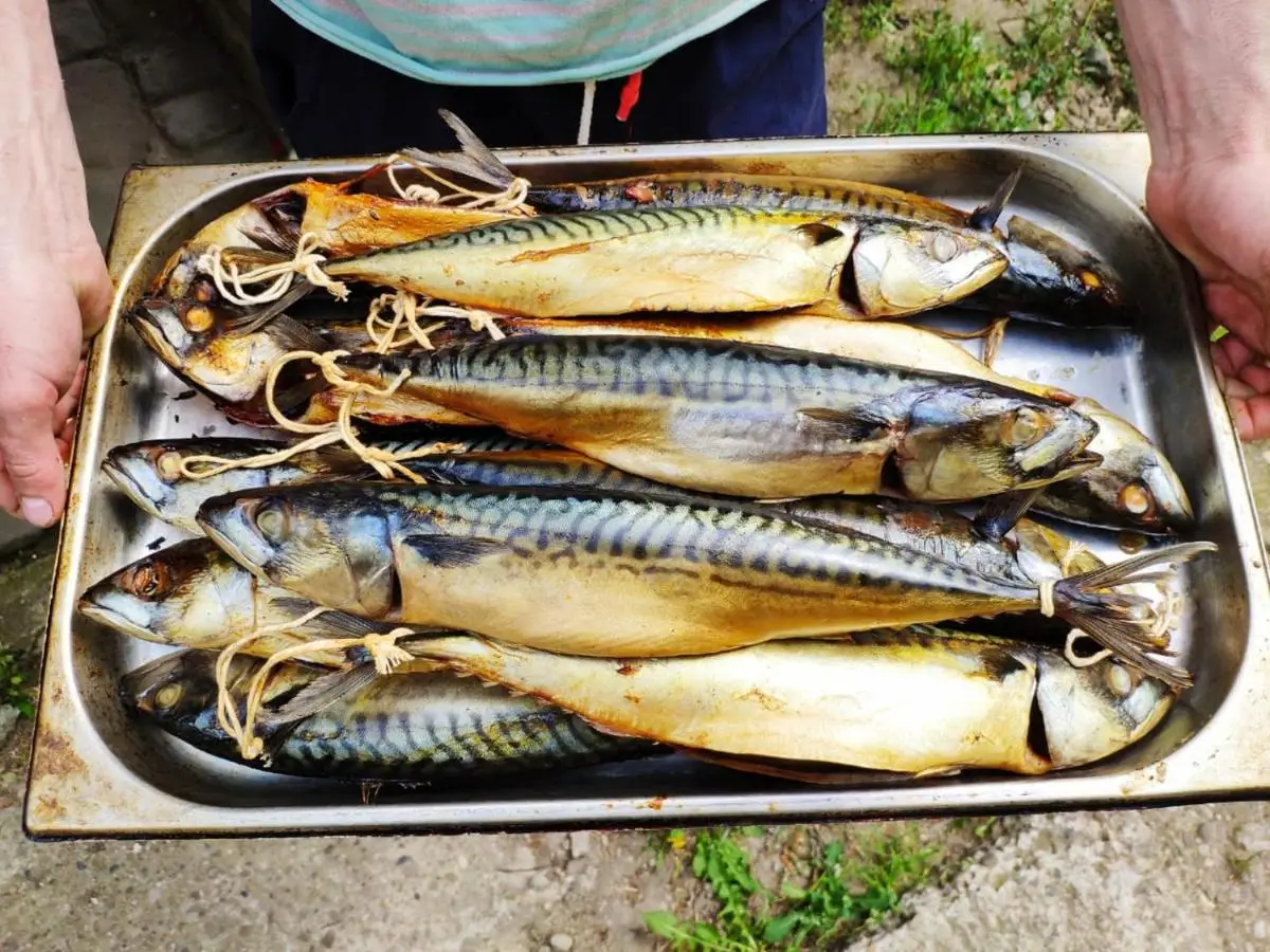 Горячий Ключ: Очаровательная поляна