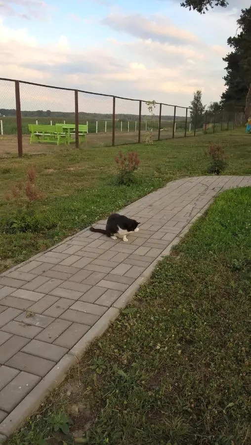 Petski: Гостевой дом Маяк