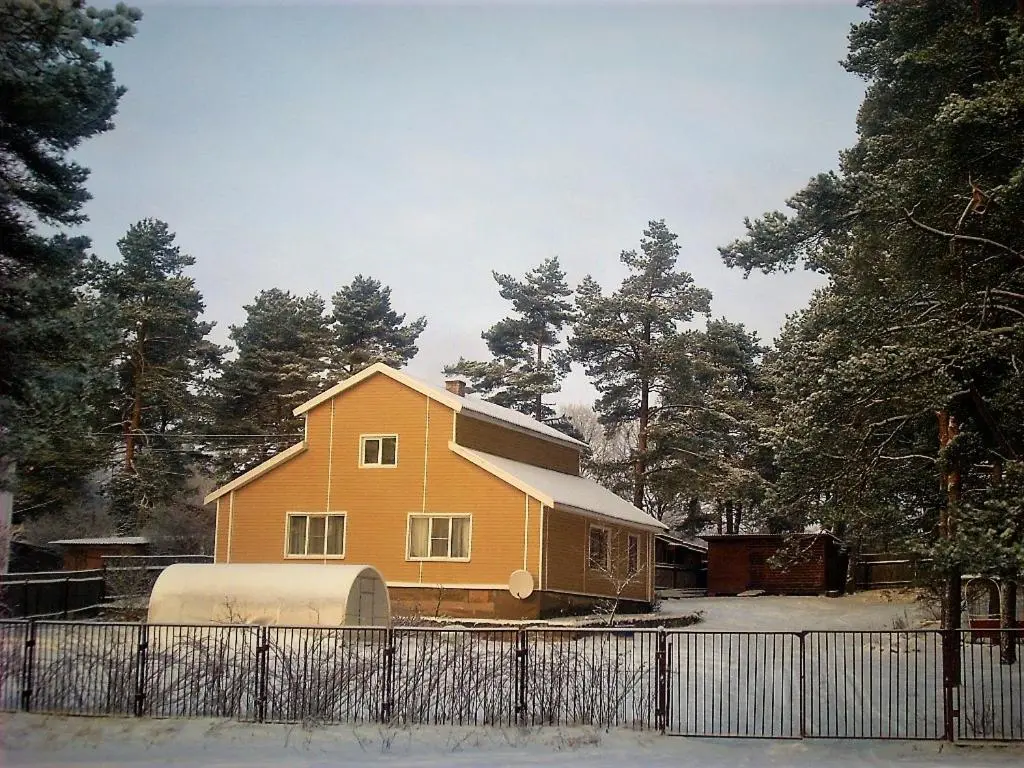 Пушкинские горы: Guest house