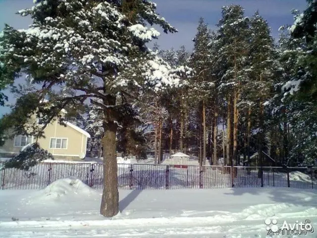 Пушкинские горы: Guest house