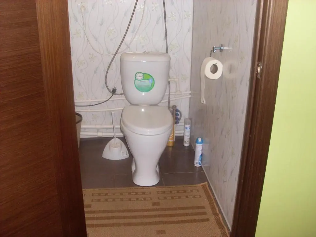 Пушкинские горы: Guest house
