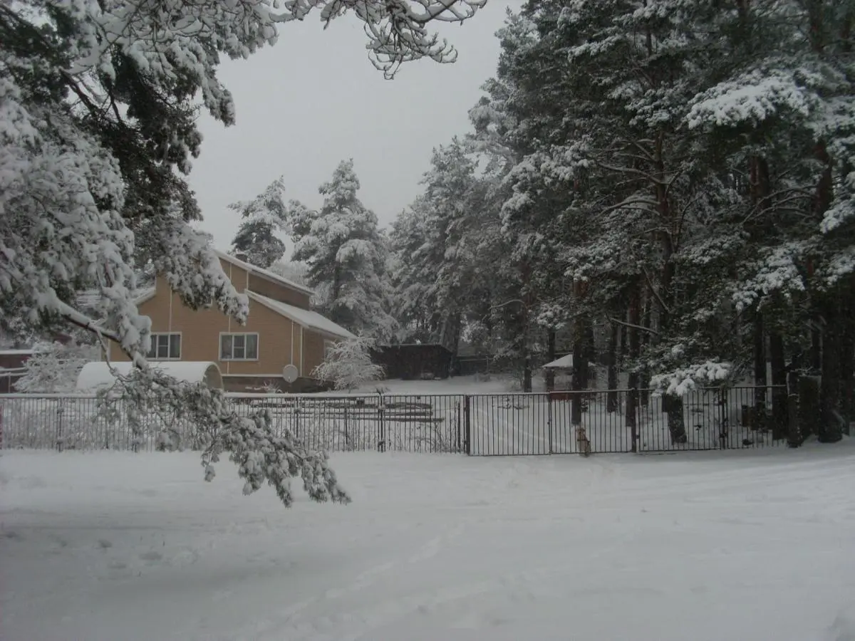 Пушкинские горы: Guest house