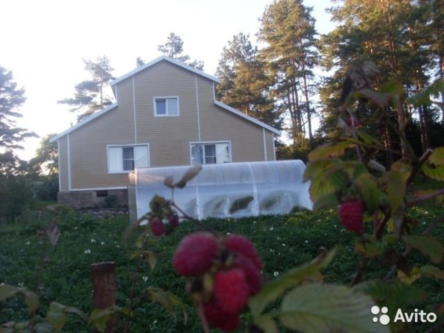 Пушкинские горы: Guest house