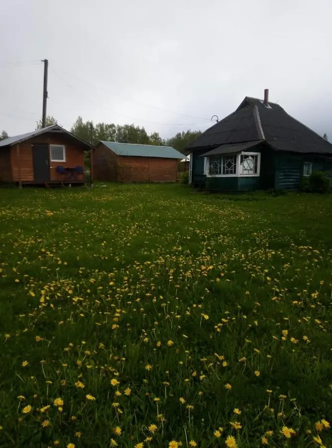 Пушкинские горы: holiday home "Kosokhnovo"