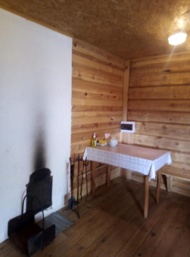 Пушкинские горы: holiday home "Kosokhnovo"