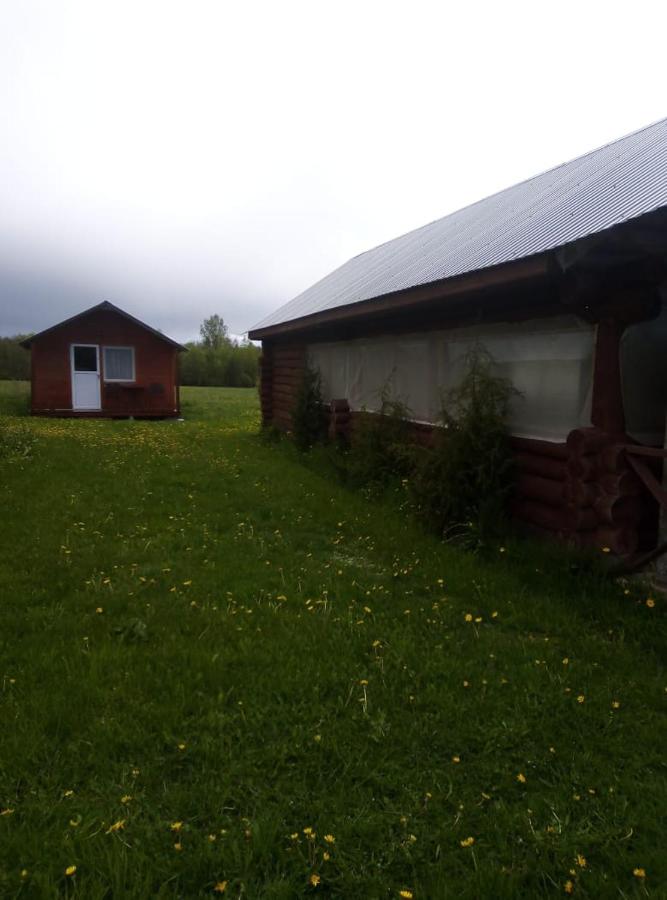 Пушкинские горы: holiday home "Kosokhnovo"