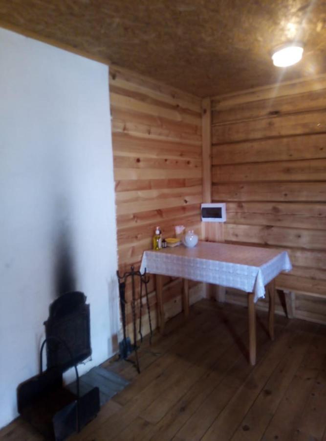 Пушкинские горы: holiday home "Kosokhnovo"