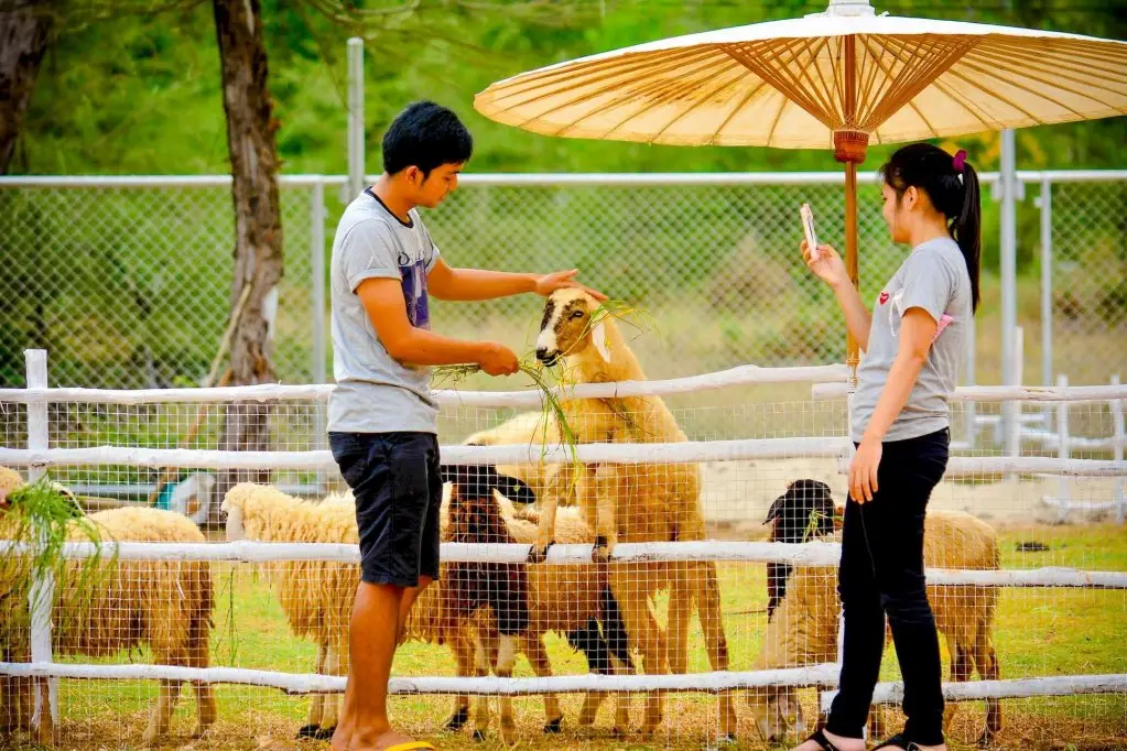 Сонгкхла: Samila Camping and Resort Songkhla