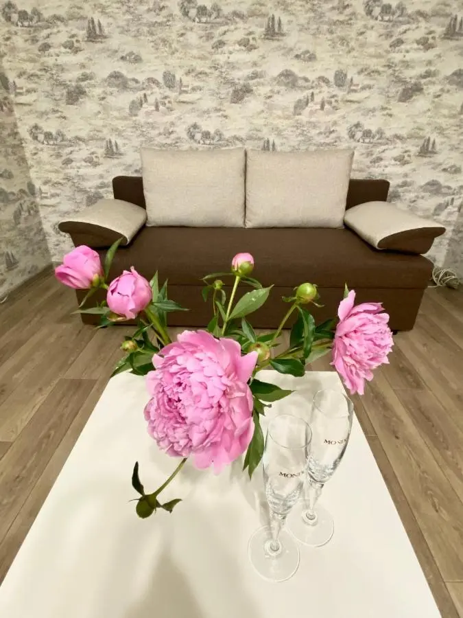 Псков: Апартаменты в центре Be my guest/Будь моим гостем