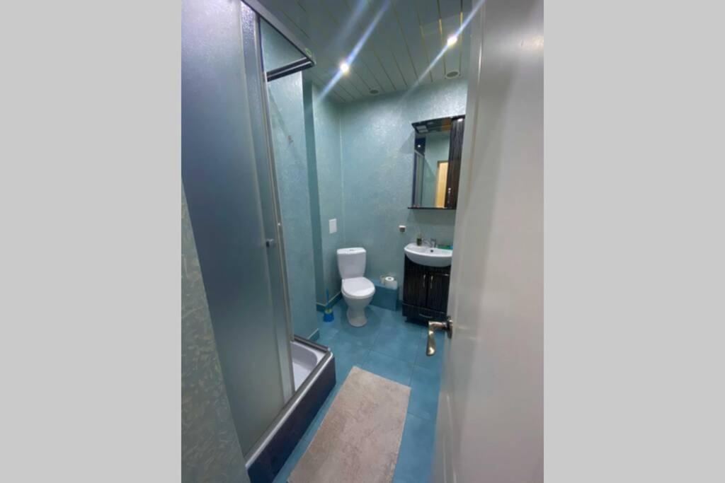 Псков: Апартаменты купол