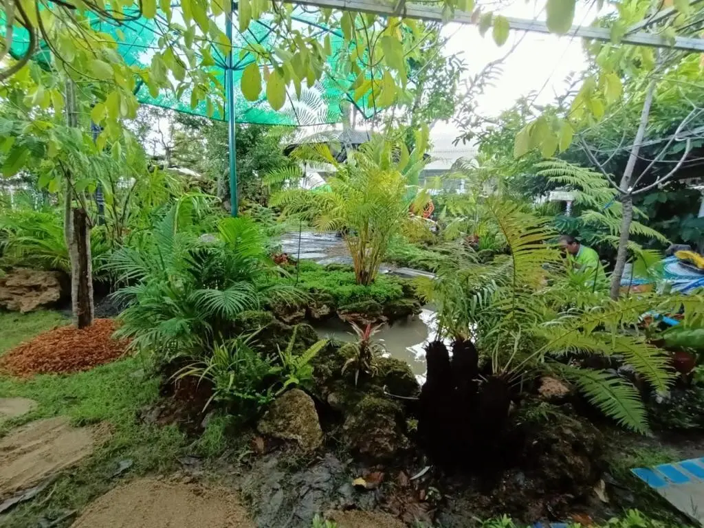 Исторический парк Kamphaeng Phet: P Paradise Hotel