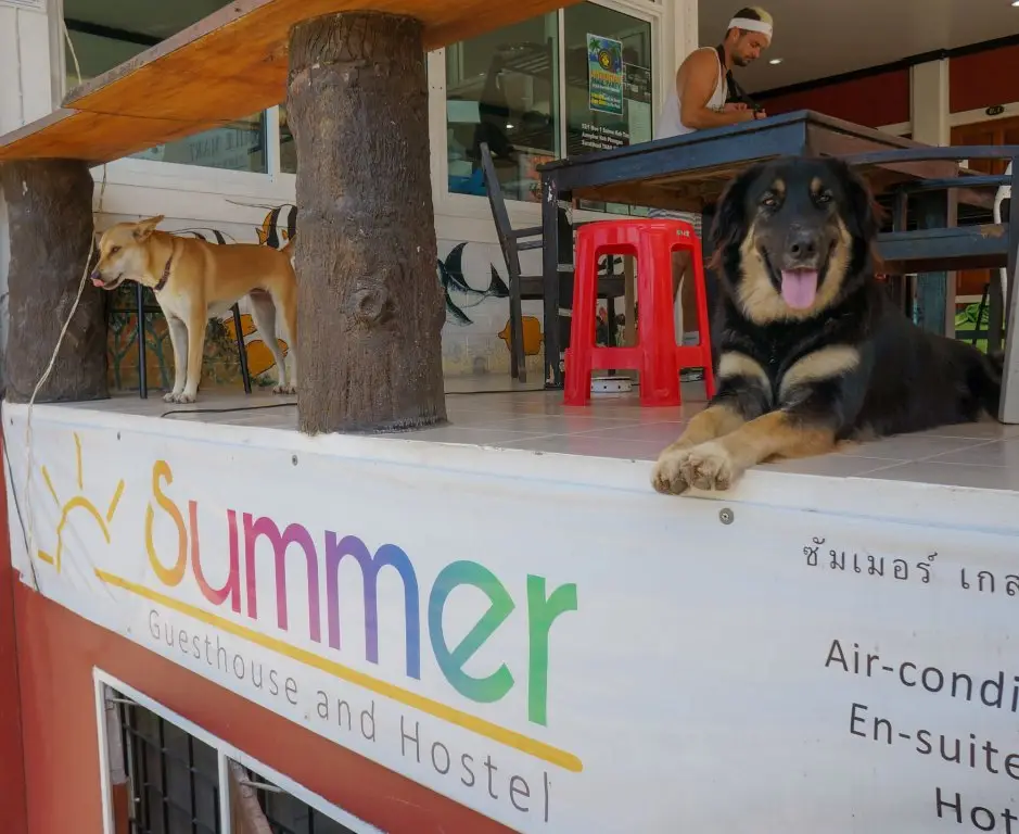 Остров Тау: Summer Guesthouse & Hostel