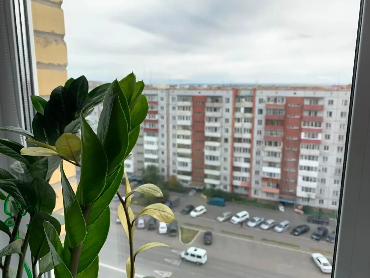 Абакан: Просторная квартира на Кирова 118