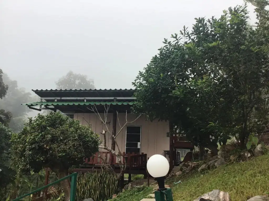 Самоенг: Forest Guesthouse