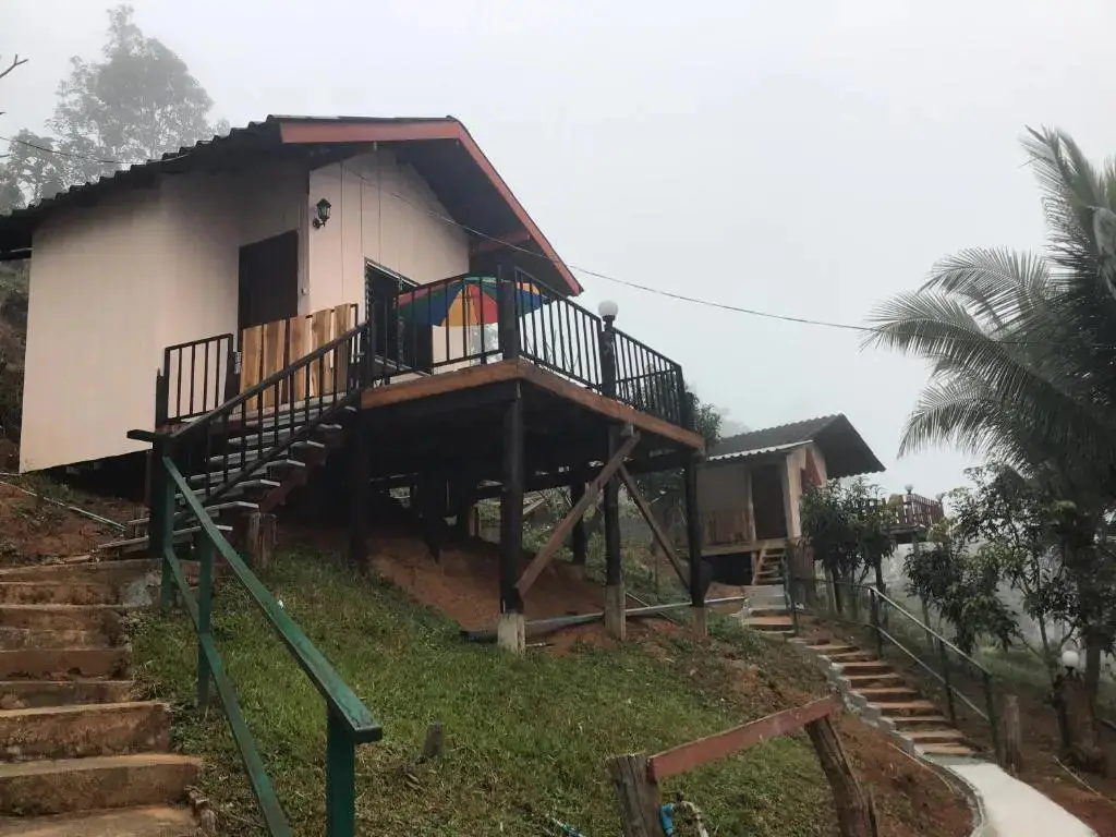 Самоенг: Forest Guesthouse