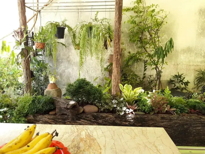 Накхонситхаммарат: Muang Khon Guest House