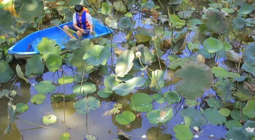 Мае-Сай: Baan Suan Auy Kham