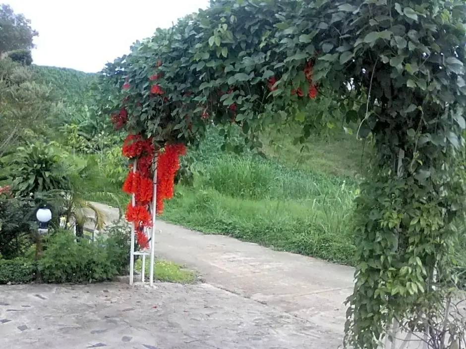 Кхэм Сон: บ้านเอื้อมดาว เขาค้อ
