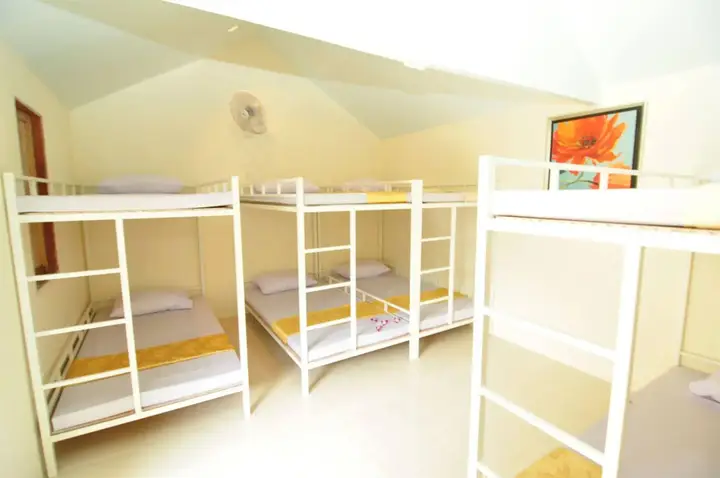 Пхи-Пхи-Дон: Blanco Dorm Room & Restaurant