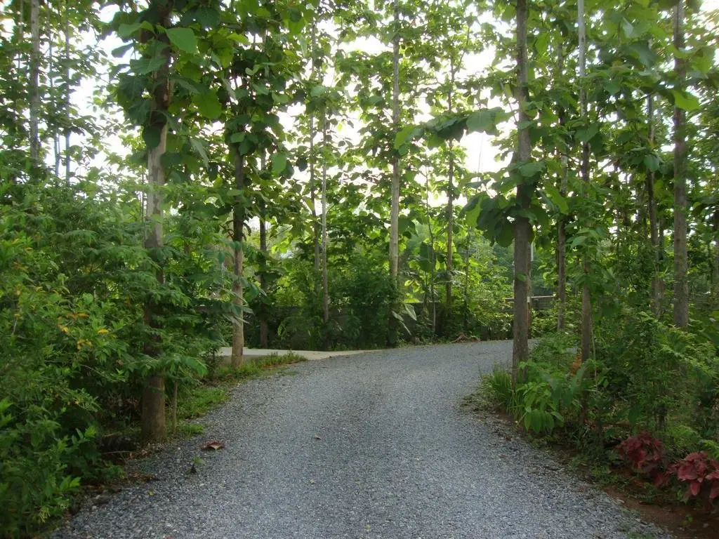 Нан: Bansuansak Resort