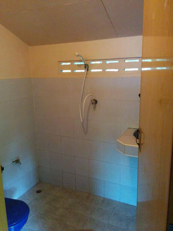 Ко-Пханган: Dolphin Bungalows