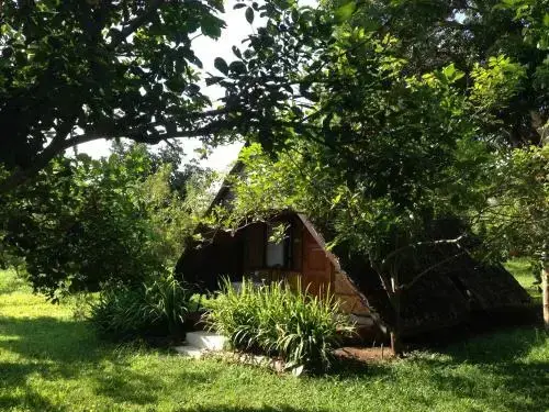 Чианг Дао: Yang Tone Farm Stay