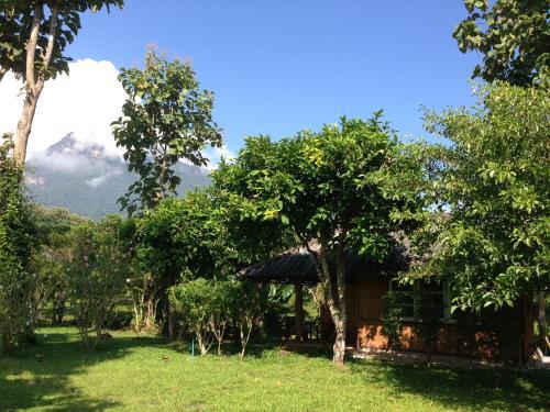Чианг Дао: Yang Tone Farm Stay