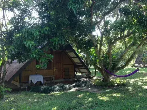 Чианг Дао: Yang Tone Farm Stay