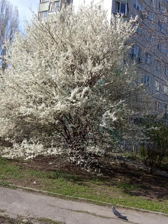 Ростов-на-Дону: Отель на Каракумской, 75а