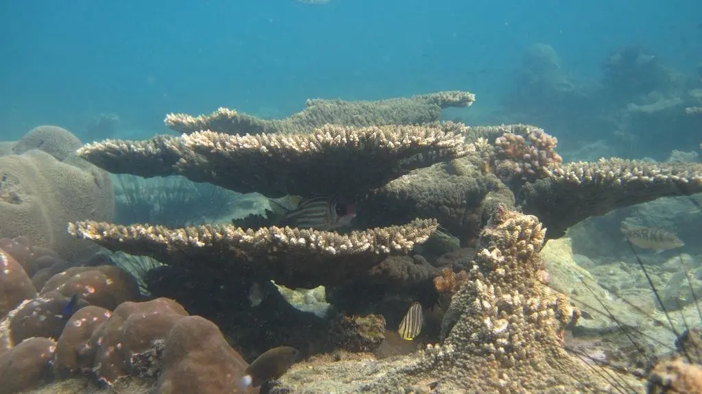 Чакпхонг: Mantakiri Island Resort Private Island