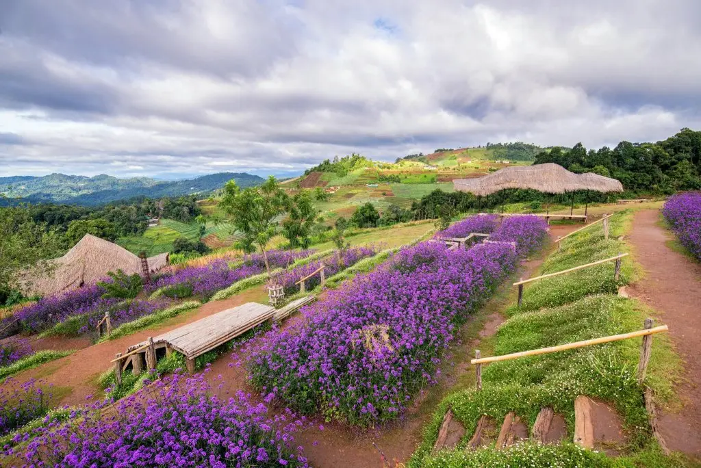 Маерим: Swankiri Exclusive Farm Resort