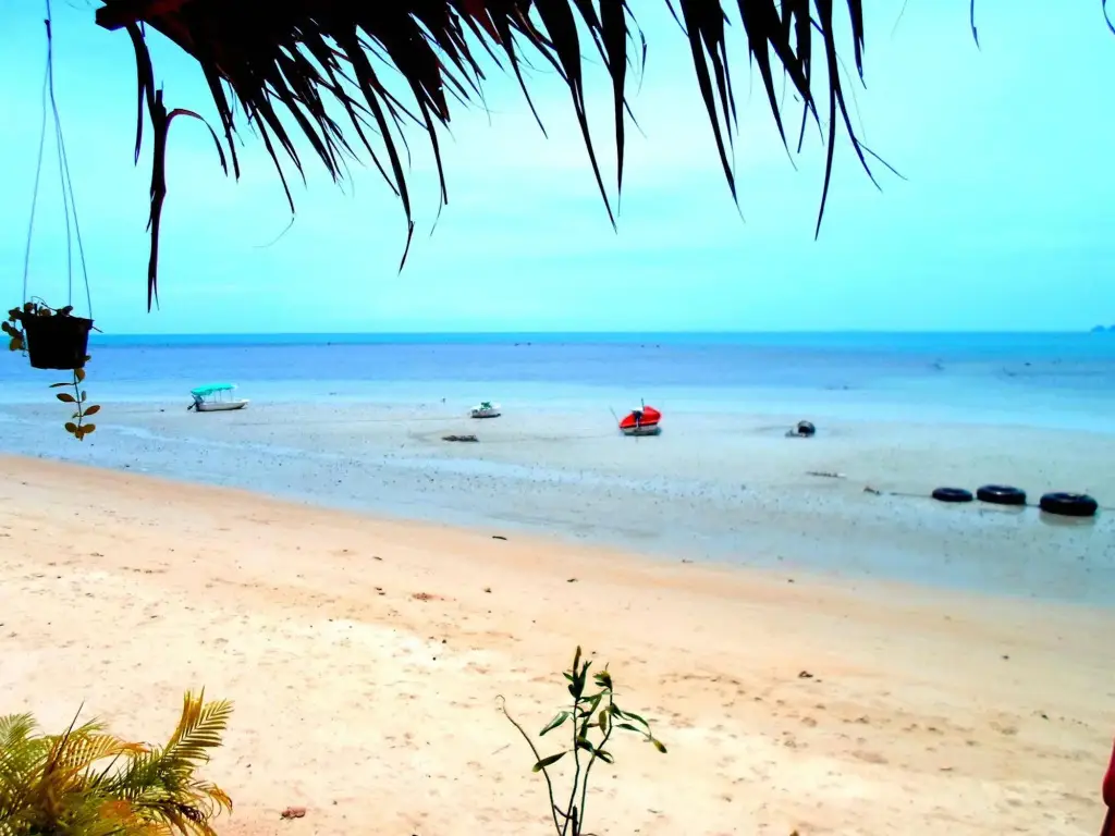 Самуи: Tropical Footprints