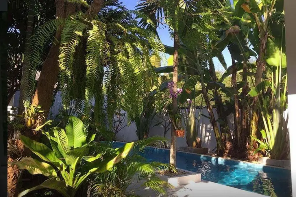 Маерим: Franjipani Home