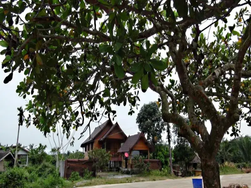Ланта: Baan Tu