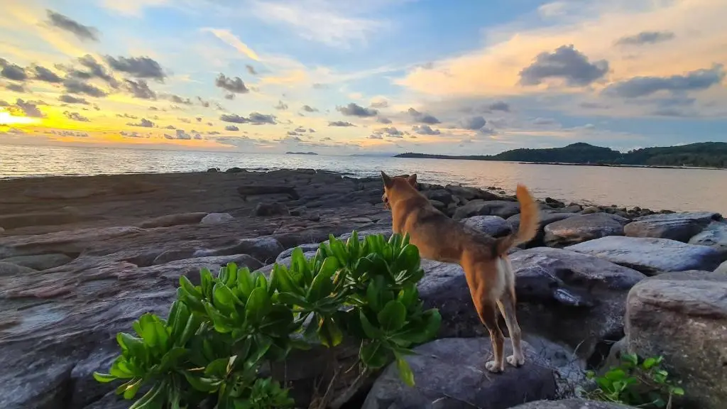 Ко Куд: Kinnaree Resort Koh Kood