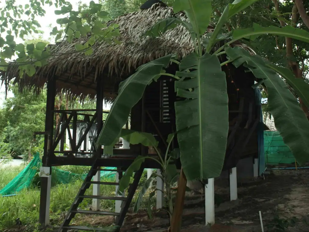 пляж Санрайз: Gipsy 2 Bungalows