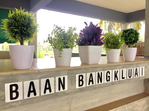 Сураттхани: Baan Bang Kluai Resort