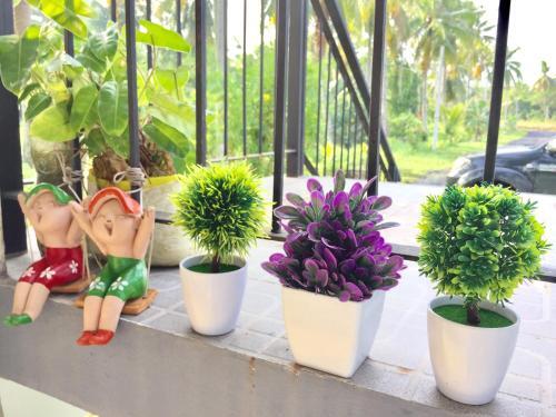 Сураттхани: Baan Bang Kluai Resort